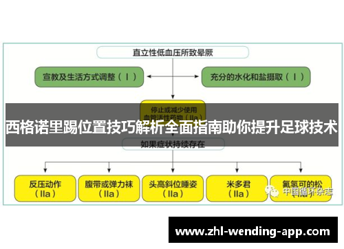 西格诺里踢位置技巧解析全面指南助你提升足球技术 西格诺里踢位置技巧解析全面指南助你提升足球技术