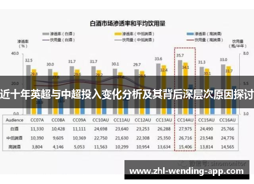 近十年英超与中超投入变化分析及其背后深层次原因探讨
