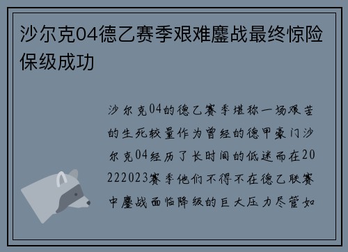 沙尔克04德乙赛季艰难鏖战最终惊险保级成功